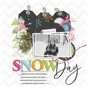 Snow-Day
