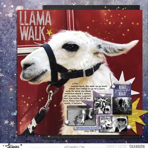 Llama Walk