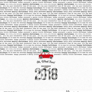 2018 DD Cover Front