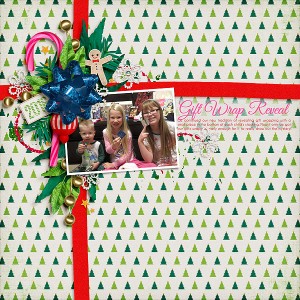 Gift Wrap Reveal