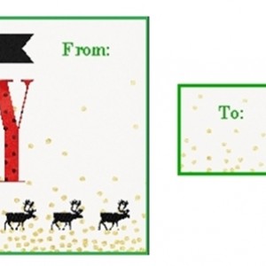The Lilypad-DYD-Gift Tag Exchange-Ain't No Bull