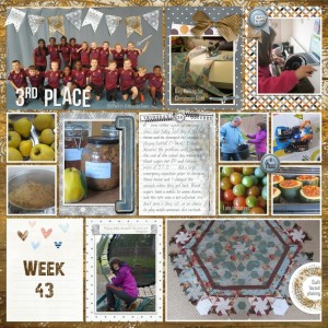 Week 43