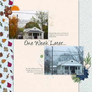 Autum to Winter