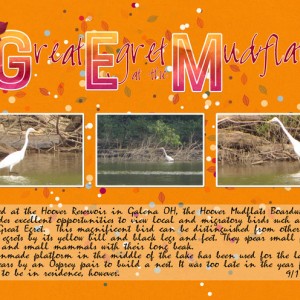 Great-Egret-at-the-Mudflats