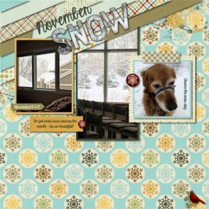 November Snow