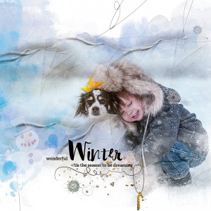 WinterDreams