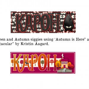 Kristin-Aagard's-Surprise-Challenge-Nov.-2018