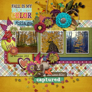 18.11 Fall Is My Favorite Color