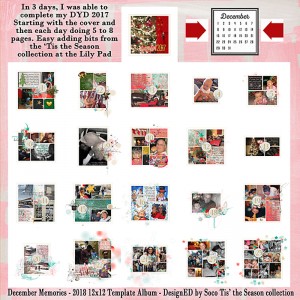 DYD 2018 Finished in 3 days! YOU can too!