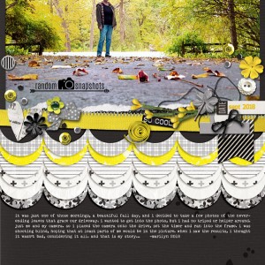 Pink-Reptile-Designs_2018-11_November_BF_1123_Lemon_web