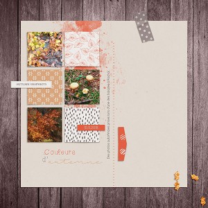 20181111-Couleurs D'automne