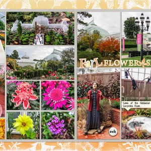 Phipps Fall Flower Show 2018