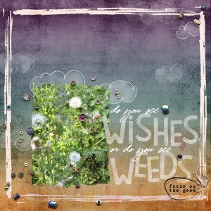 wishes or weeds?