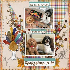 The Doodle Cousins' Thanksgiving