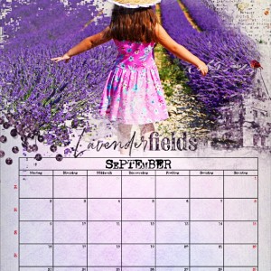 Lavender Fields