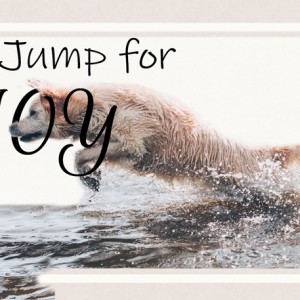 Jump-for-Joy