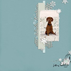falling snow