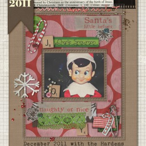 Trish's DYD Cover