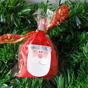 santa´s bag