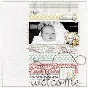 Welcome Little One touched up...