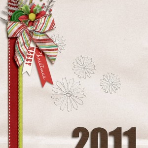 December Daily 2011 Cover