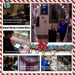 Museum of Natural History