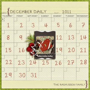 dec.daily.2011