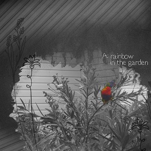 Rainbow in the Garden