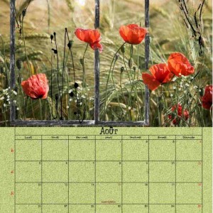 Nbk-calendrier Aout 2019