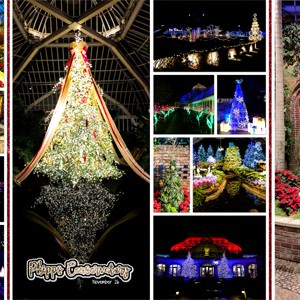 Phipps Conservatory at Christmas