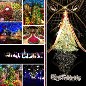 Web_2018_November26_Phipps Conservatory at Christmas_left