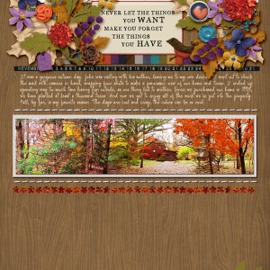 2018-11_November-TLP_Style_web
