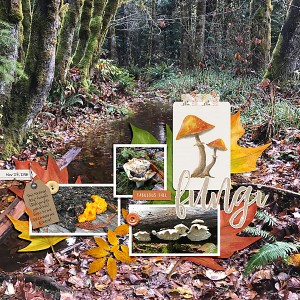 Fabulous Fall Fungi
