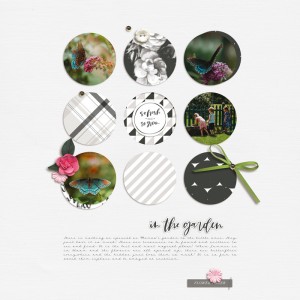 In the Garden