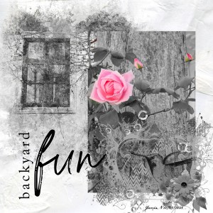 Backyard Fun - NBK  Nov 26 Challenge