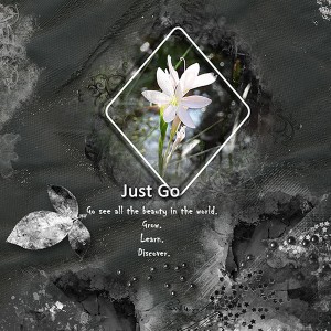 Just-go