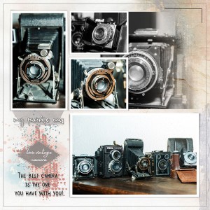 18-12_TLP-December-photography-Challenge