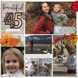 18week45_Polinchick