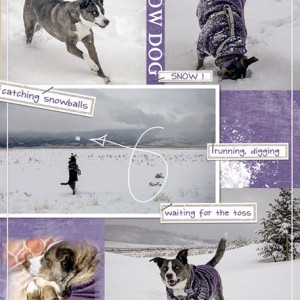 12-18_Tags_SnowDog