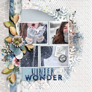 Winter Wonder