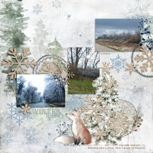Winter Woods