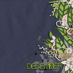 2018DYDCover