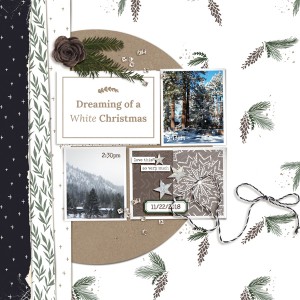 snowfall