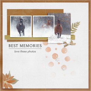Best Memories