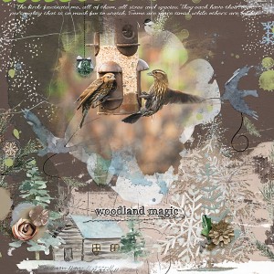 Woodland Magic