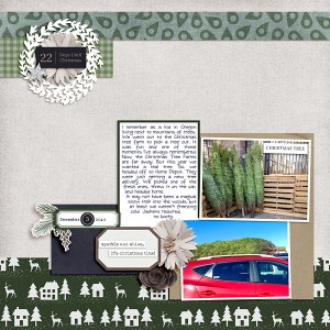 2018-Dec-Christmas-Tree-Picking-copy