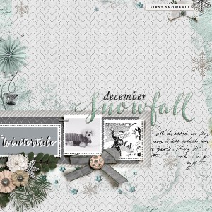 December Snowfall