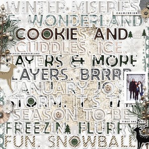 winters snow