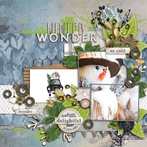 Winter Wonder
