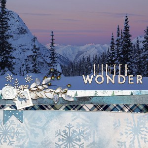 Winter Wonder
